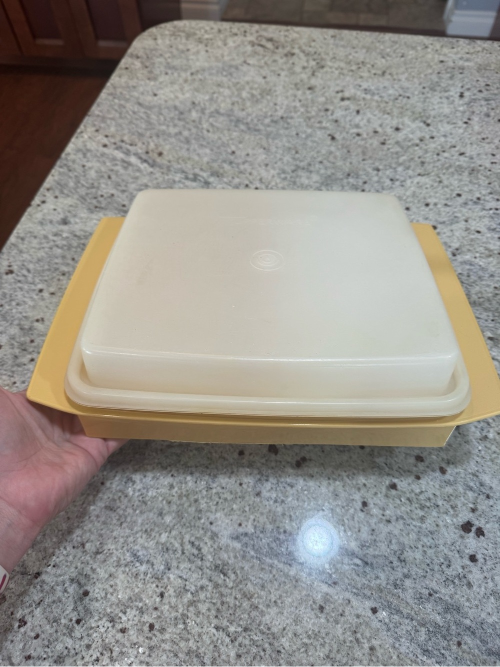 Vintage Square Covered Serving Dish in Yellow and Cream